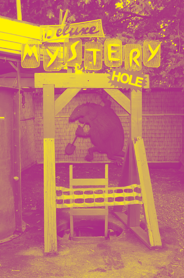 Holey Moley